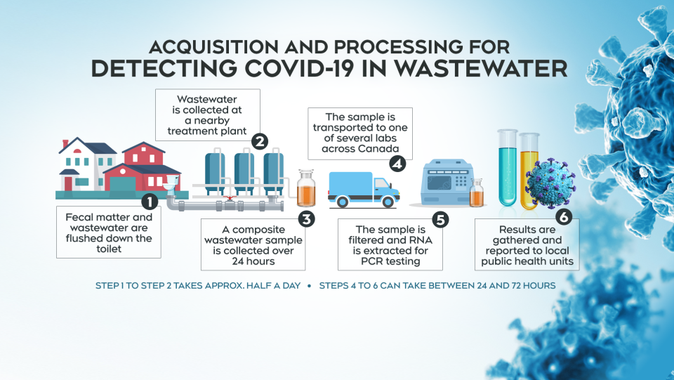 Détection du COVID-19 dans le graphique des eaux usées